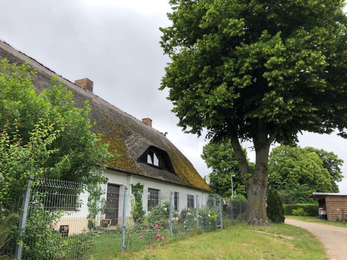 Ferienwohnung Landhaus Zurow Экстерьер фото